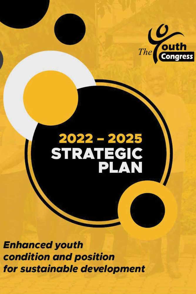 Final Strategic Plan 2022-2025